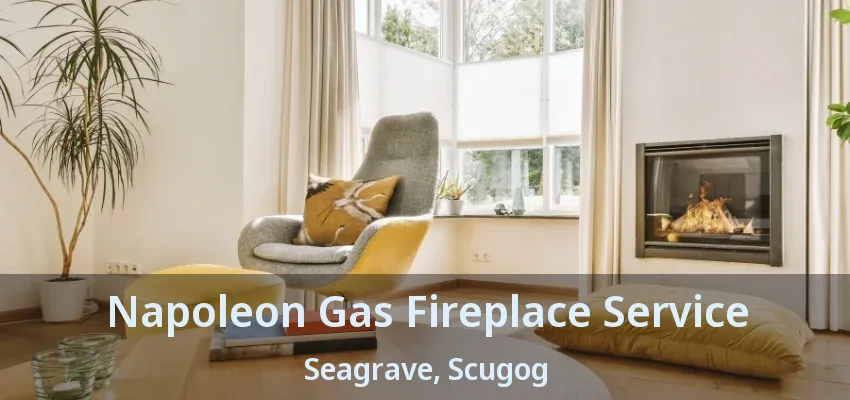 Napoleon Gas Fireplace Service Seagrave, Scugog - ON Napoleon Gas Fireplace Service Seagrave, Scugog - ON