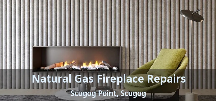 Natural Gas Fireplace Repairs Scugog Point, Scugog - ON Natural Gas Fireplace Repairs Scugog Point, Scugog - ON