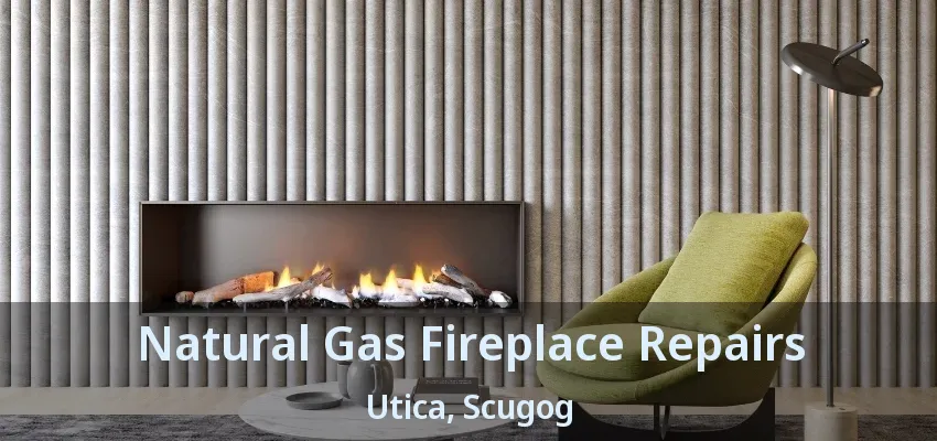 Natural Gas Fireplace Repairs Utica, Scugog - ON