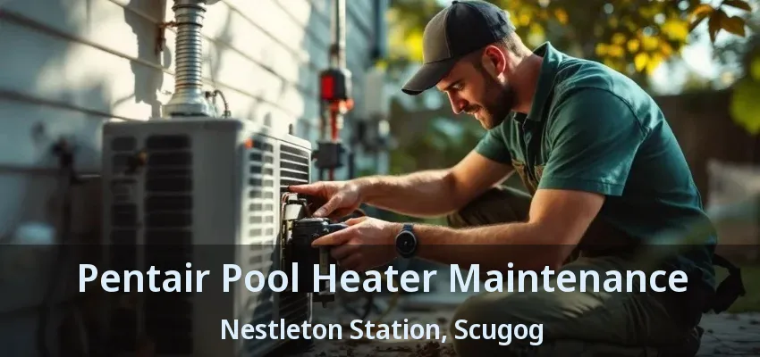Pentair Pool Heater Maintenance Nestleton Station, Scugog - ON