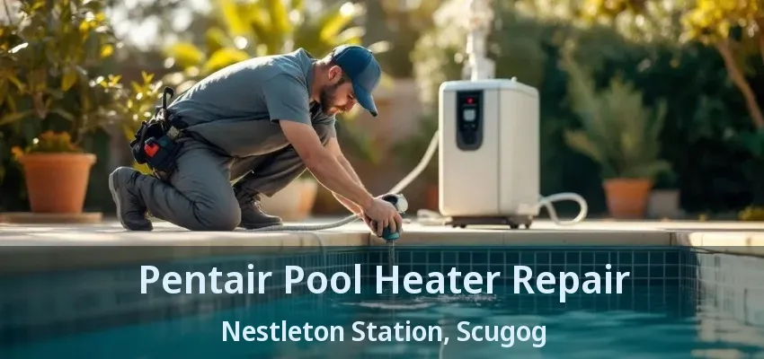 Pentair Pool Heater Repair Nestleton Station, Scugog - ON