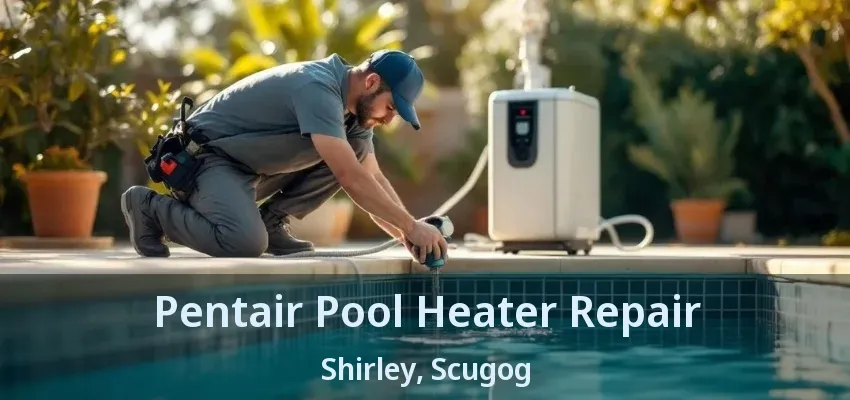 Pentair Pool Heater Repair Shirley, Scugog - ON Pentair Pool Heater Repair Shirley, Scugog - ON