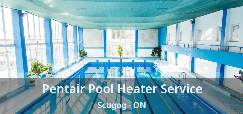 Pentair Pool Heater Service Scugog - ON Pentair Pool Heater Service Scugog - ON