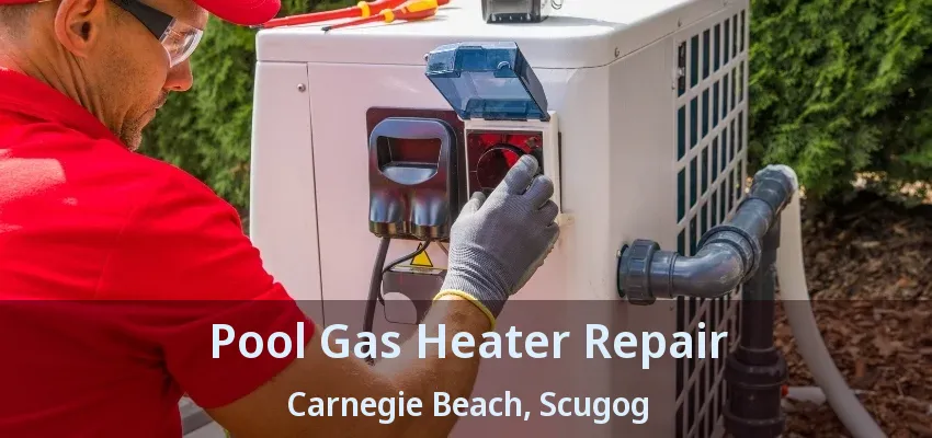 Pool Gas Heater Repair Carnegie Beach, Scugog - ON Pool Gas Heater Repair Carnegie Beach, Scugog - ON