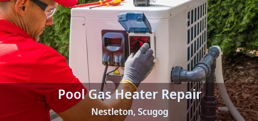 Pool Gas Heater Repair Nestleton, Scugog - ON Pool Gas Heater Repair Nestleton, Scugog - ON