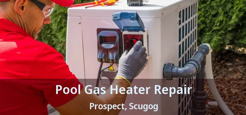 Pool Gas Heater Repair Prospect, Scugog - ON Pool Gas Heater Repair Prospect, Scugog - ON