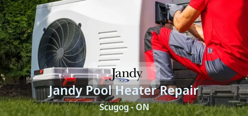 Jandy Pool Heater Repair Scugog - ON