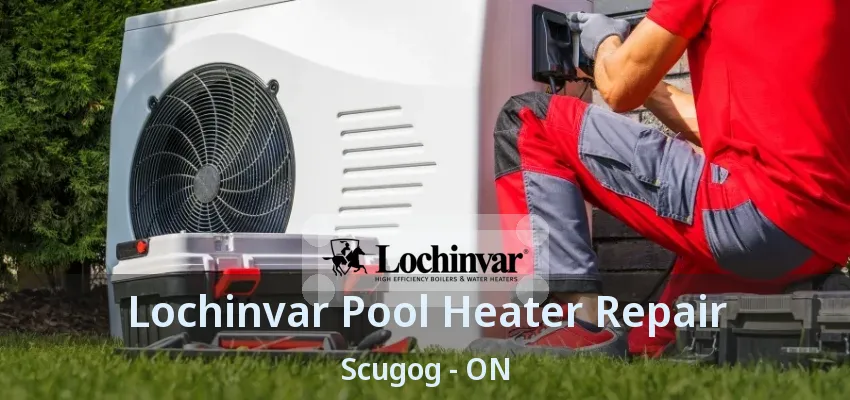 Lochinvar Pool Heater Repair Scugog - ON Lochinvar Pool Heater Repair Scugog - ON