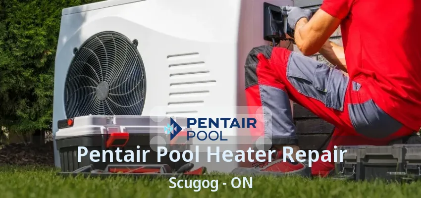 Pentair Pool Heater Repair Scugog - ON