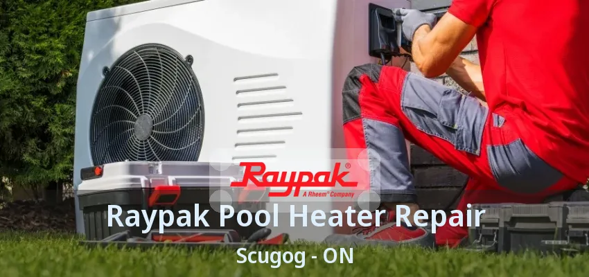 Raypak Pool Heater Repair Scugog - ON Raypak Pool Heater Repair Scugog - ON
