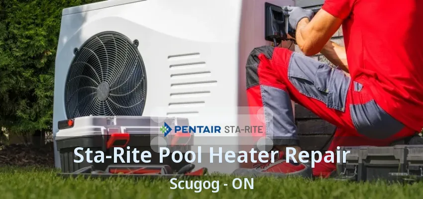 Sta-Rite Pool Heater Repair Scugog - ON Sta-Rite Pool Heater Repair Scugog - ON
