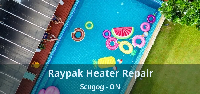 Raypak Heater Repair Scugog - ON