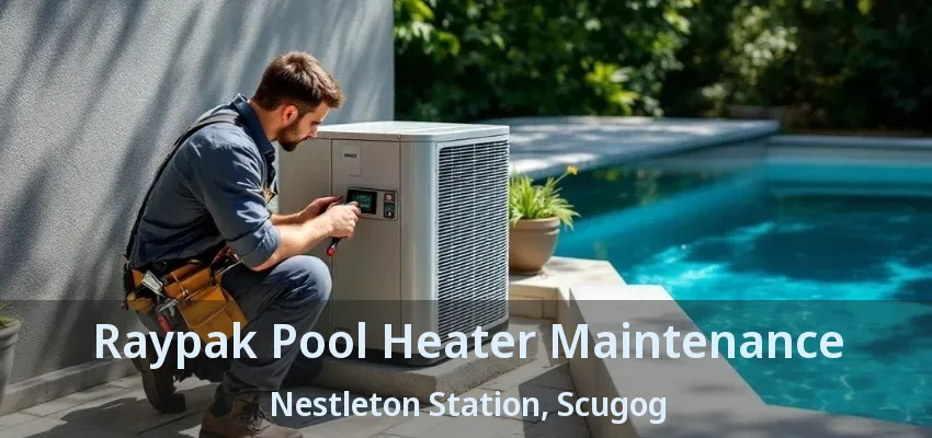 Raypak Pool Heater Maintenance Nestleton Station, Scugog - ON Raypak Pool Heater Maintenance Nestleton Station, Scugog - ON
