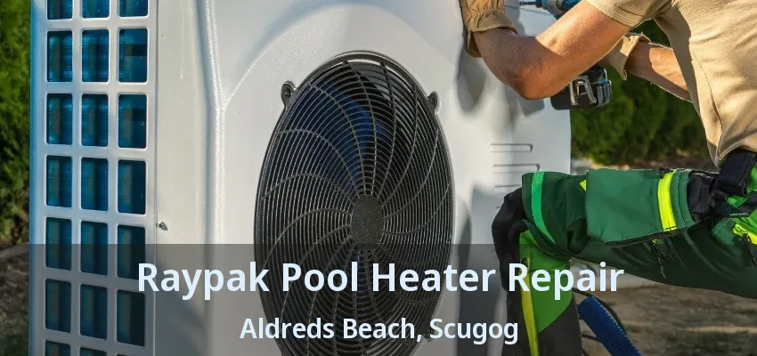 Raypak Pool Heater Repair Aldreds Beach, Scugog - ON Raypak Pool Heater Repair Aldreds Beach, Scugog - ON