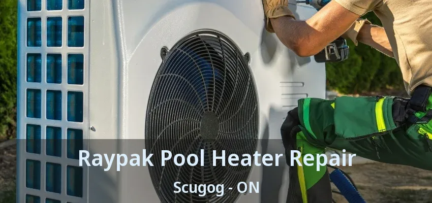 Raypak Pool Heater Repair Scugog - ON Raypak Pool Heater Repair Scugog - ON