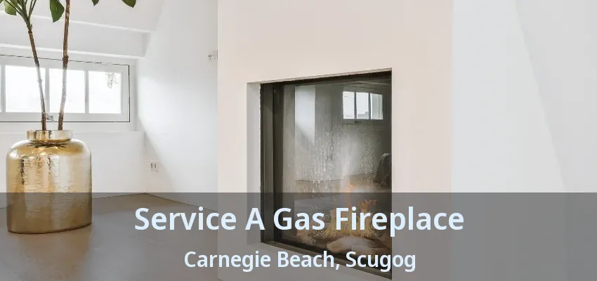 Service A Gas Fireplace Carnegie Beach, Scugog - ON Service A Gas Fireplace Carnegie Beach, Scugog - ON