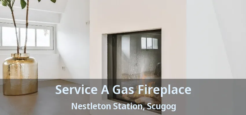 Service A Gas Fireplace Nestleton Station, Scugog - ON Service A Gas Fireplace Nestleton Station, Scugog - ON