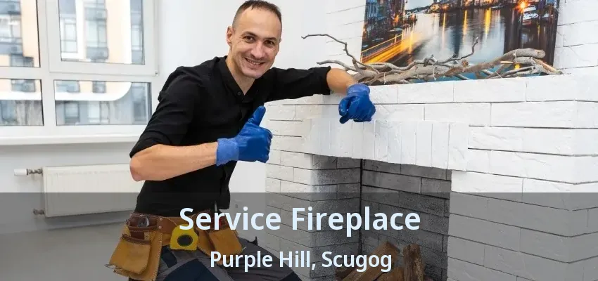 Service Fireplace Purple Hill, Scugog - ON