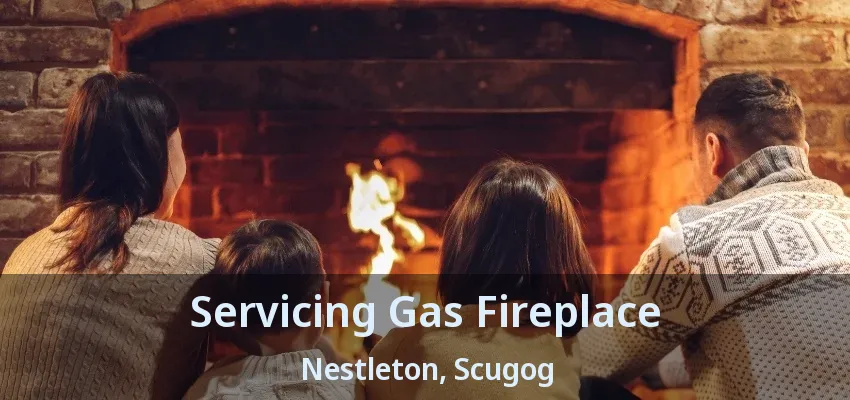 Servicing Gas Fireplace Nestleton, Scugog - ON Servicing Gas Fireplace Nestleton, Scugog - ON