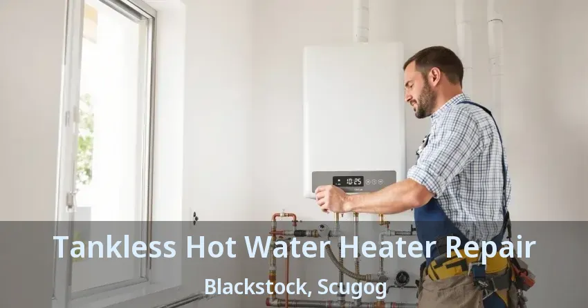 Tankless Hot Water Heater Repair Blackstock, Scugog - ON