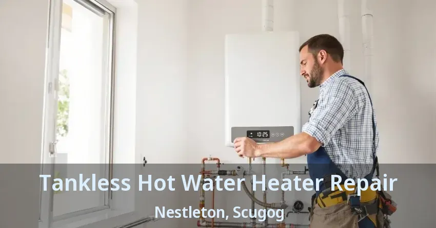 Tankless Hot Water Heater Repair Nestleton, Scugog - ON Tankless Hot Water Heater Repair Nestleton, Scugog - ON