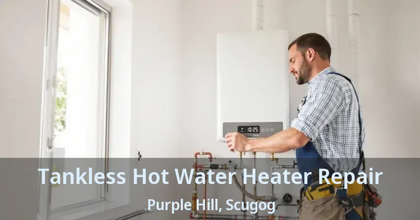 Tankless Hot Water Heater Repair Purple Hill, Scugog - ON
