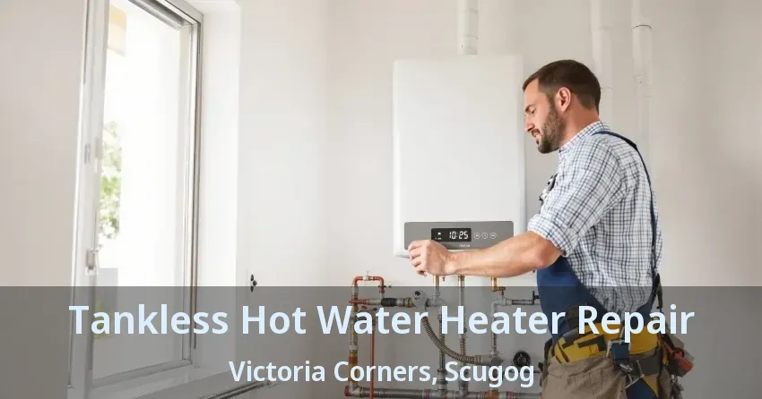 Tankless Hot Water Heater Repair Victoria Corners, Scugog - ON