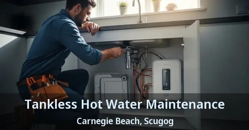 Tankless Hot Water Maintenance Carnegie Beach, Scugog - ON Tankless Hot Water Maintenance Carnegie Beach, Scugog - ON