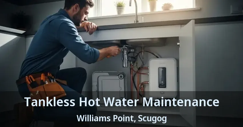 Tankless Hot Water Maintenance Williams Point, Scugog - ON Tankless Hot Water Maintenance Williams Point, Scugog - ON
