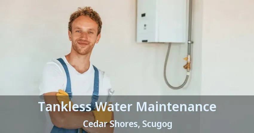 Tankless Water Maintenance Cedar Shores, Scugog - ON Tankless Water Maintenance Cedar Shores, Scugog - ON