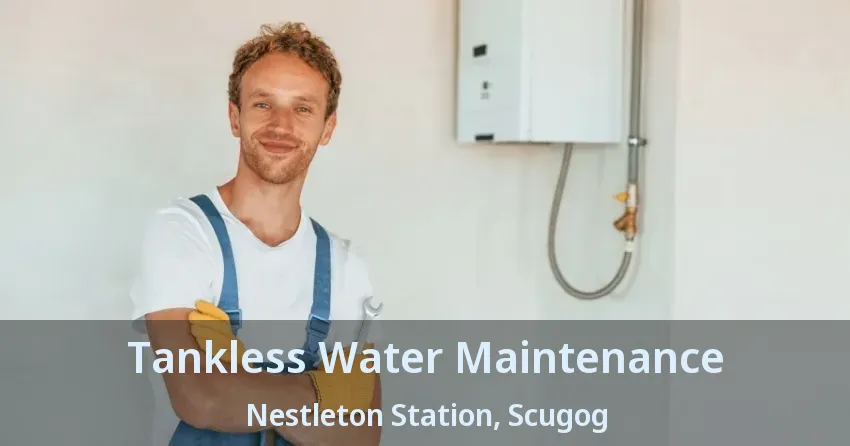 Tankless Water Maintenance Nestleton Station, Scugog - ON