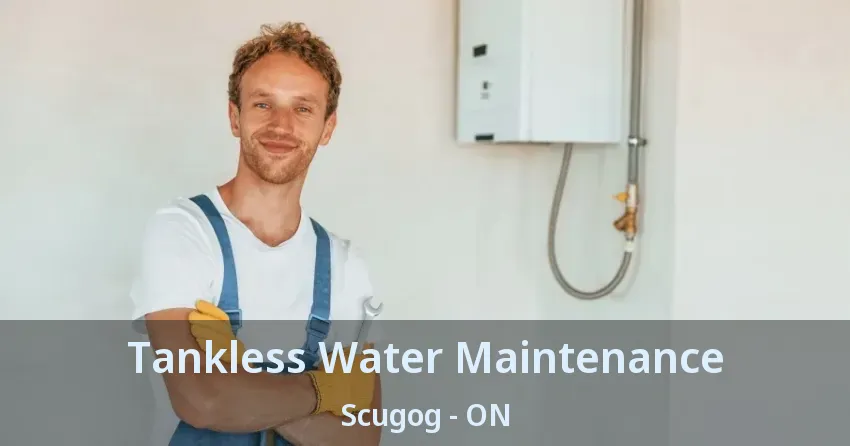 Tankless Water Maintenance Scugog - ON Tankless Water Maintenance Scugog - ON