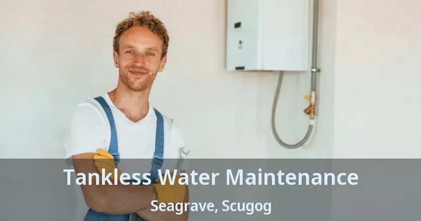 Tankless Water Maintenance Seagrave, Scugog - ON Tankless Water Maintenance Seagrave, Scugog - ON