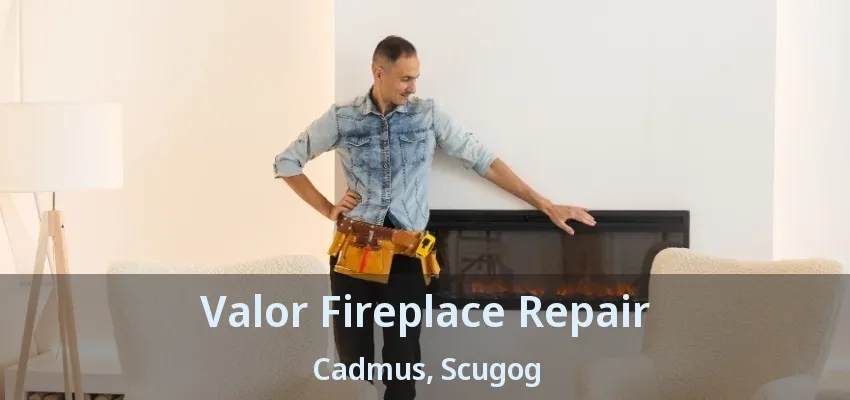 Valor Fireplace Repair Cadmus, Scugog - ON Valor Fireplace Repair Cadmus, Scugog - ON