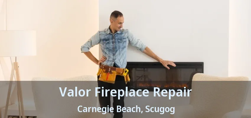 Valor Fireplace Repair Carnegie Beach, Scugog - ON Valor Fireplace Repair Carnegie Beach, Scugog - ON
