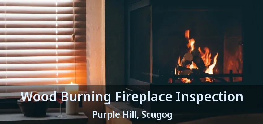 Wood Burning Fireplace Inspection Purple Hill, Scugog - ON