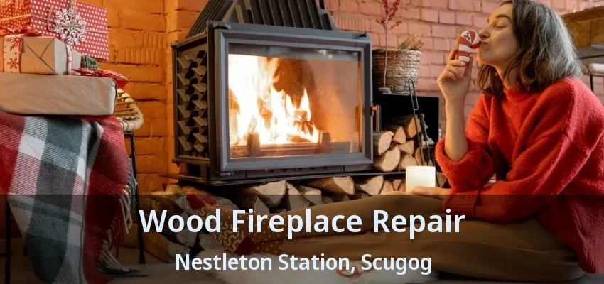 Wood Fireplace Repair Nestleton Station, Scugog - ON